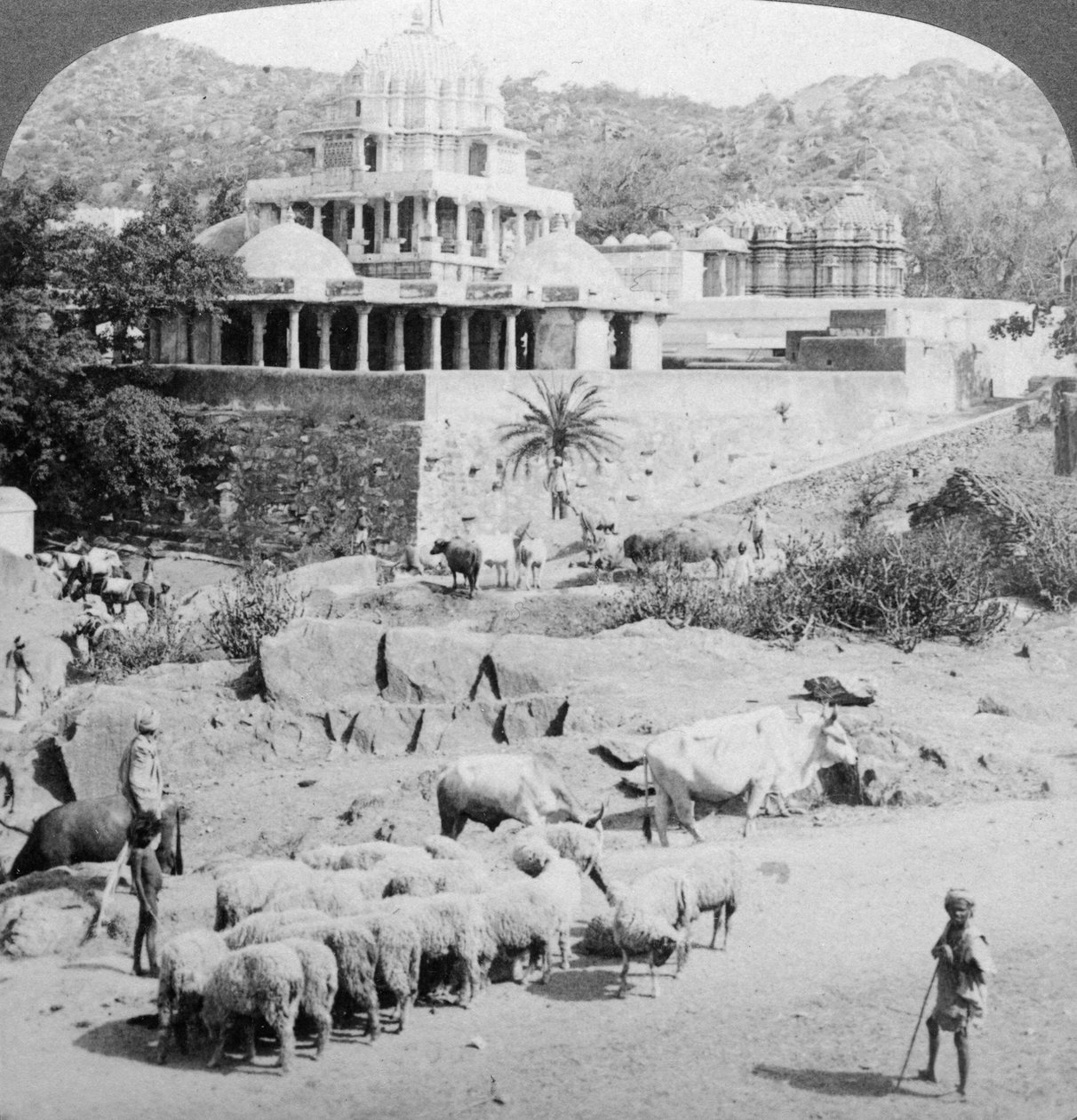 Jains-temppelit, Mount Abu, Intia, 1902. tekijältä Underwood and Underwood