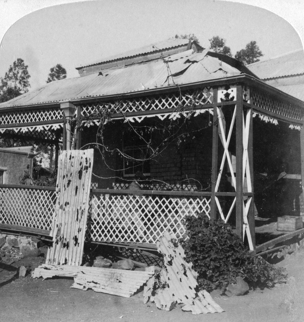 Klubi, johon iski 94 kiloa painava buurien kuori, Mafekingin piiritys Etelä-Afrikassa, 1901. tekijältä Underwood and Underwood