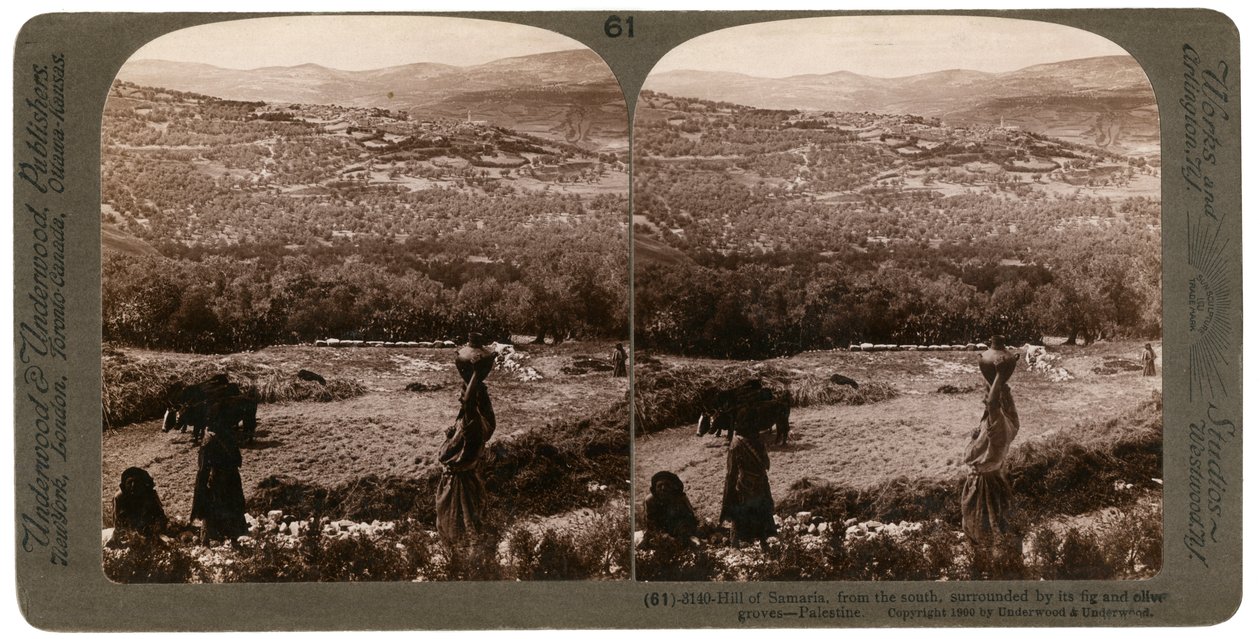 Samarian kukkula, etelästä, viikuna- ja oliivitarhojen ympäröimä, Palestiina, 1900. tekijältä Underwood and Underwood