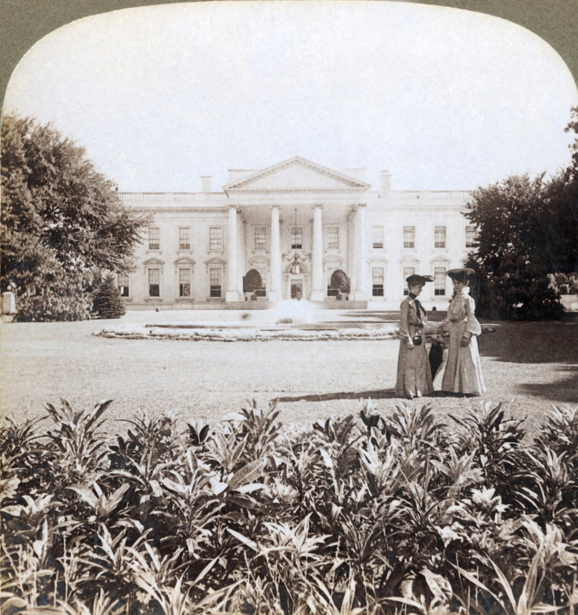 Valkoinen talo, kansakuntien päällikön historiallinen asuinpaikka - pohjoisrintama-Washington, D.C., 1908 tekijältä Underwood and Underwood