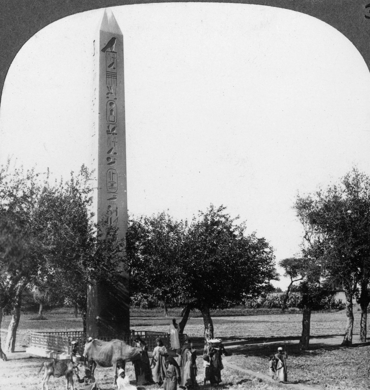 Heliopoliksen obeliski, Egypti, 1905. tekijältä Underwood and Underwood