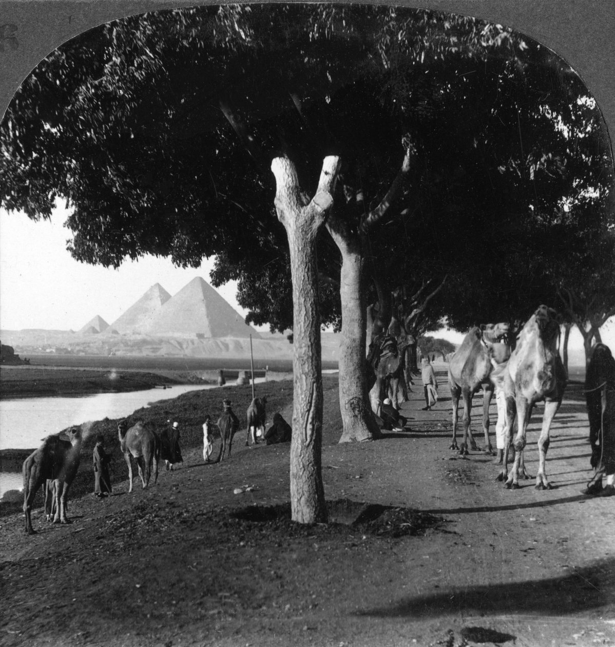 Tie pyramideille, Giza, Egypti, 1905. tekijältä Underwood and Underwood