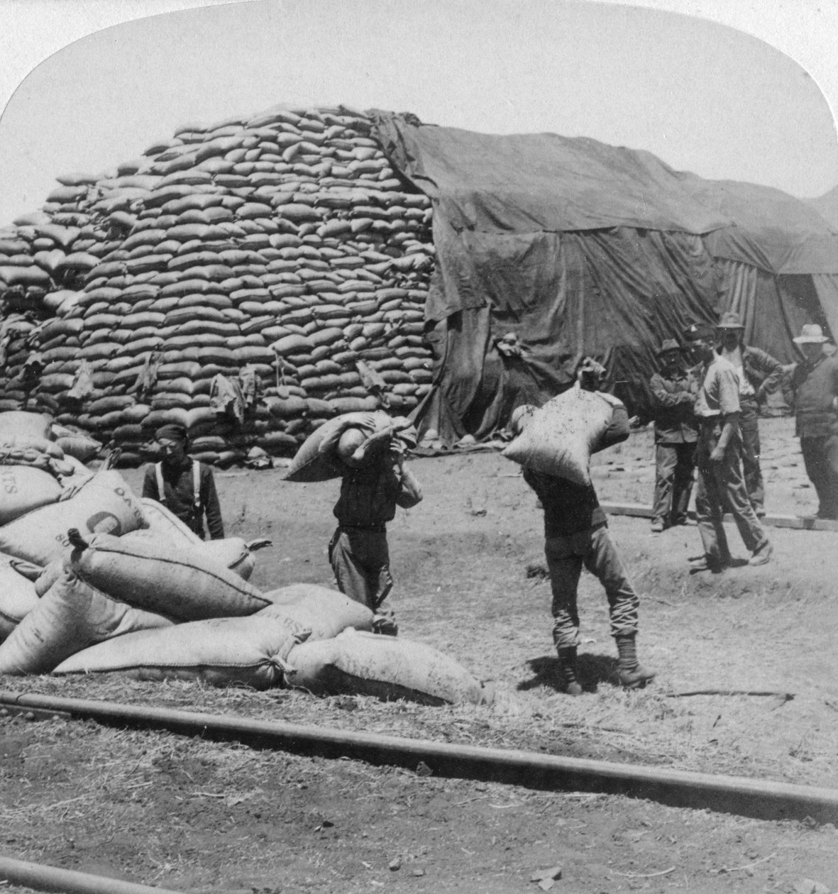 Tonnia tonneista kauraa Tommyn uskolliselle ystävälle De Aarille, Etelä-Afrikka, buurien sota, 1900. tekijältä Underwood and Underwood