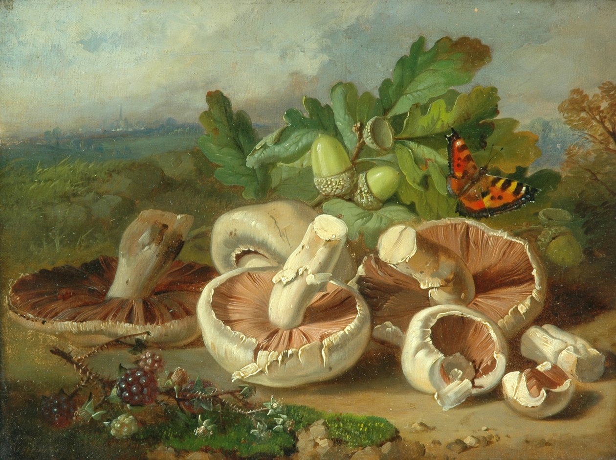 Asetelma sienten kanssa jne., 1859 tekijältä Unknown