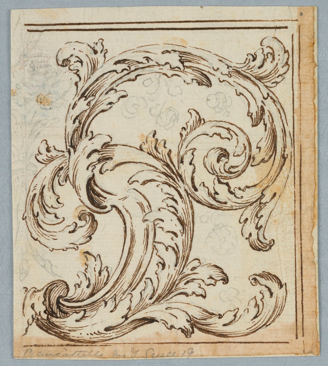 Piirustus, Rinceau Design, 1725–1750 tekijältä Unknown