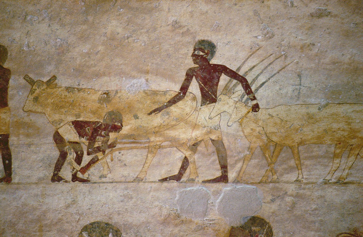 Kulkue karjan ja gasellien kanssa, yksityiskohta haudan seinämaalauksesta, egyptiläinen, vanhasta keski-valtakuntaan (maalattu kalkkikivi) tekijältä Unknown
