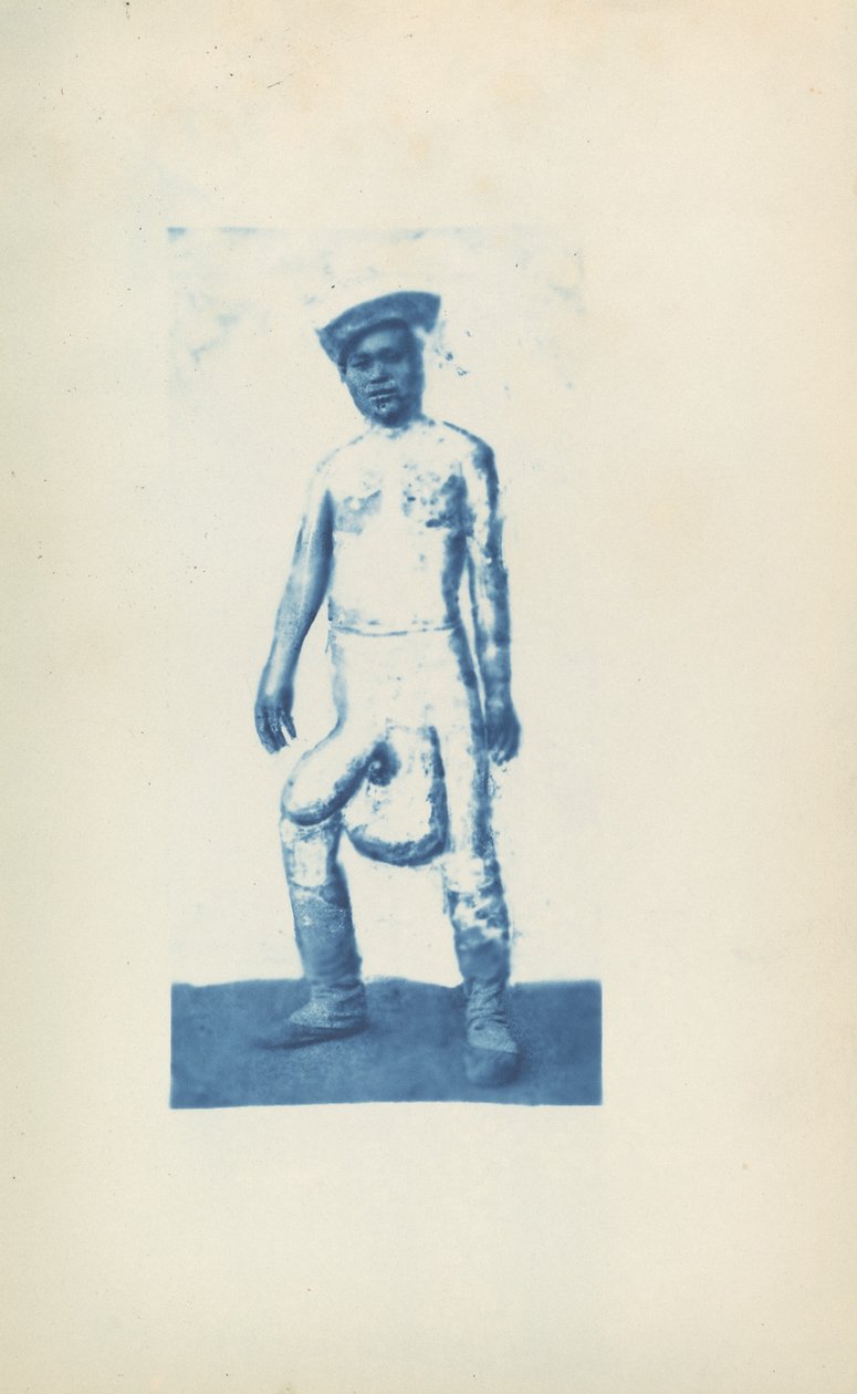 Elefanttiaasi tekijältä Unknown 19th Century