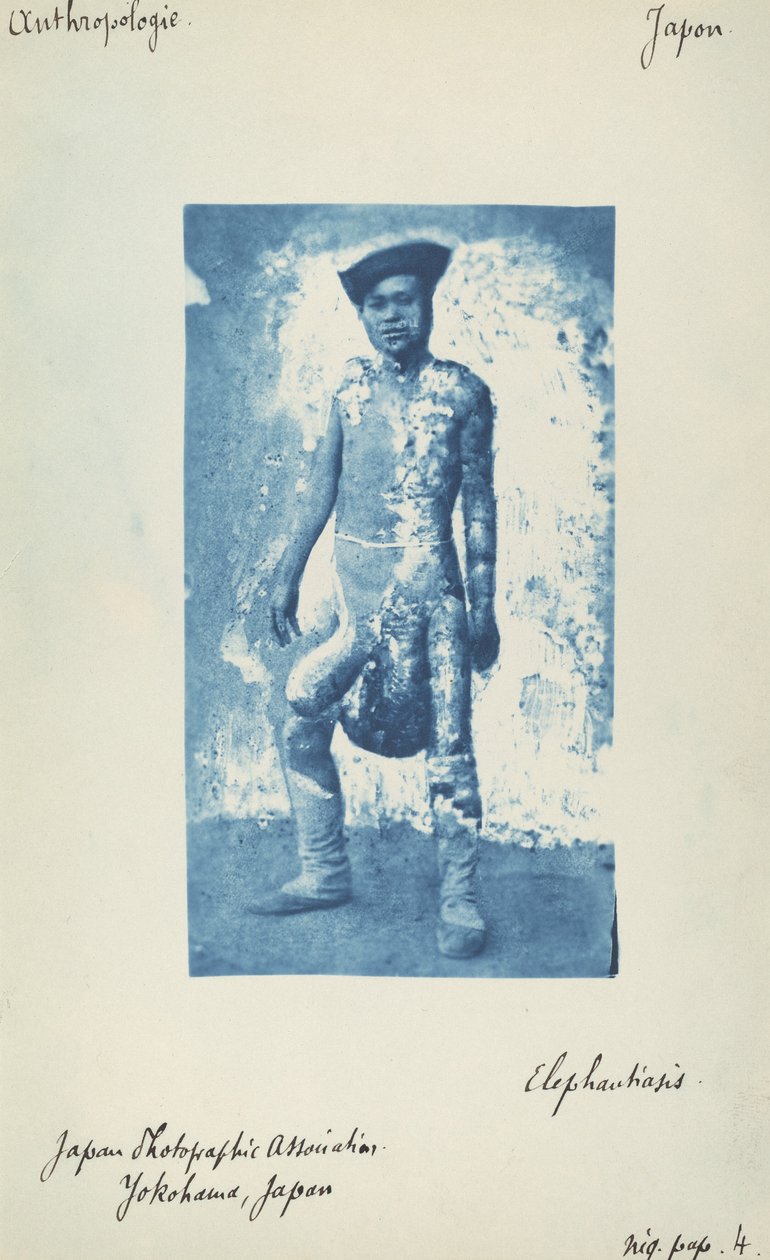 Elefanttiaasi tekijältä Unknown 19th Century
