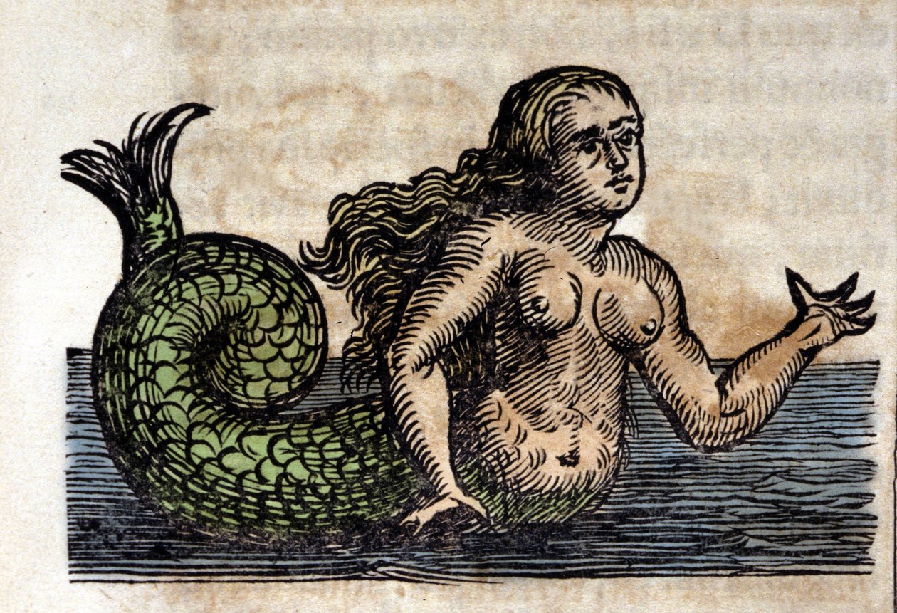 Sirene, legendaarinen henkilö - Kaiverrus Athanasius Kircherin (1601 - 1680), jesuiitta, orientalistin ja saksalaisen tutkijan teoksesta tekijältä Unknown artist