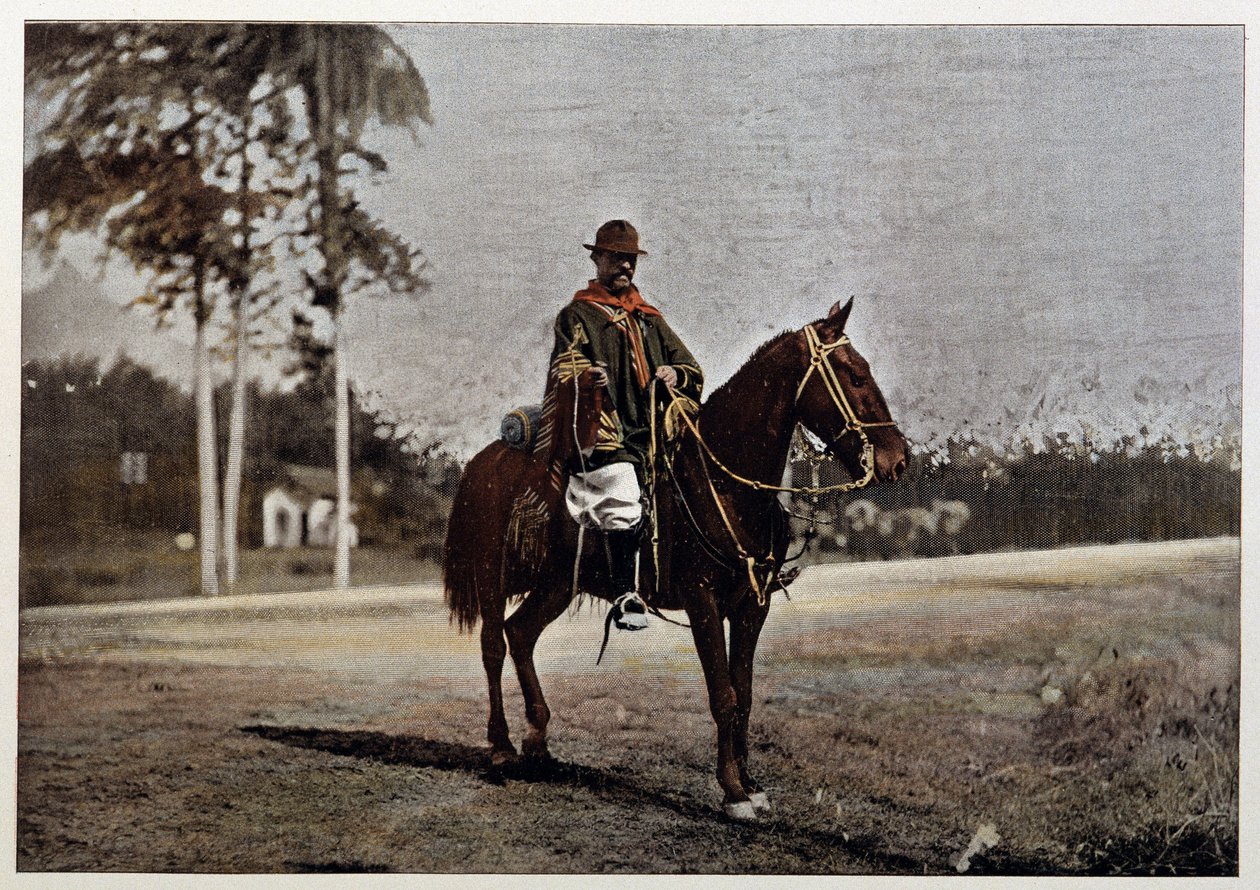 Gaucho Rio Grande do Sulissa (Brasilia), 1800-luvun lopulla tekijältä Unknown artist