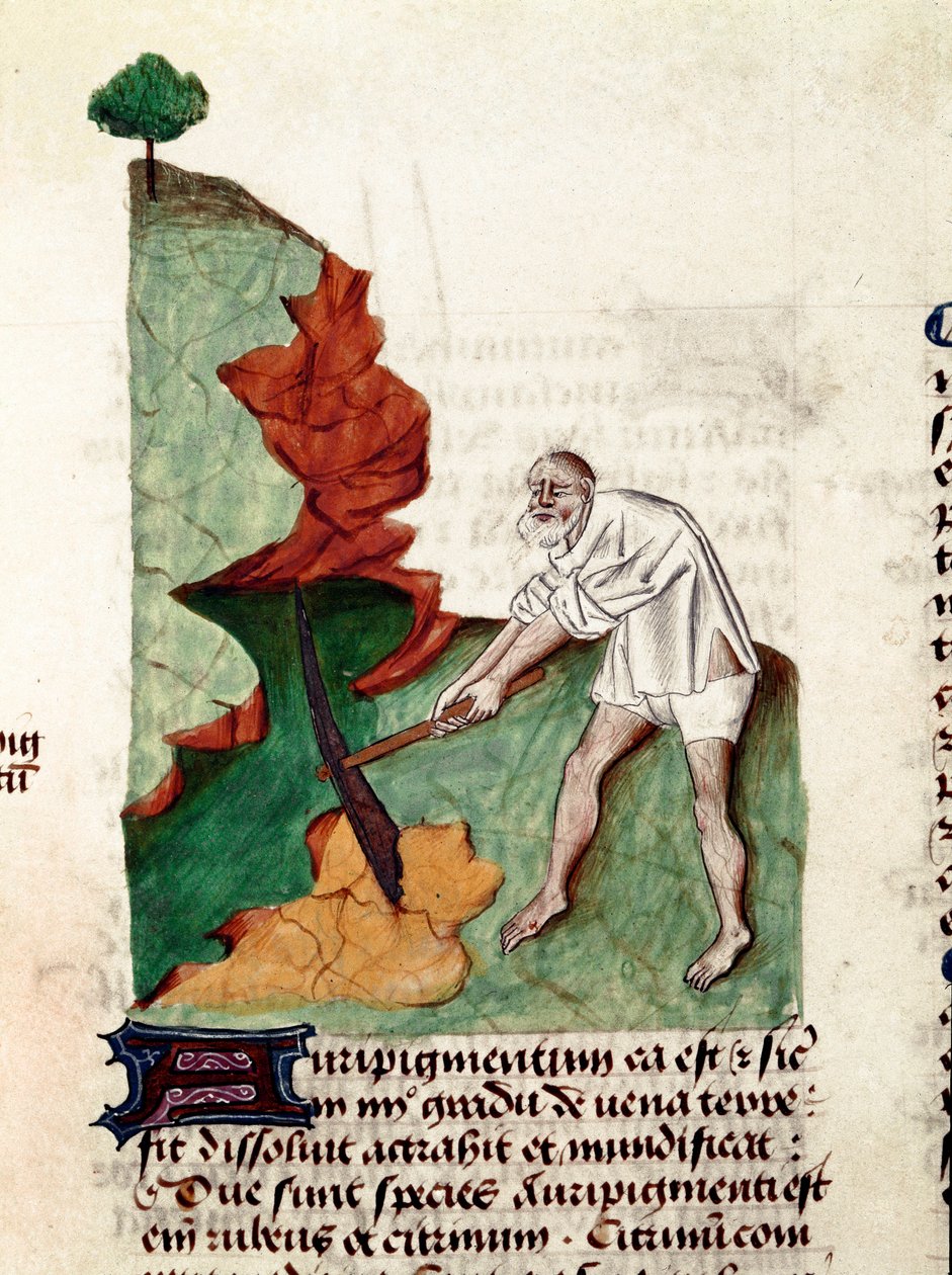 Kullanetsijä Pedanius Dioscorides (Dioscorides) (40-90 jKr.) Lat.1152 käsikirjoituksen "Yrttien herkkuja" (Tractatus de herbs) sivu. tekijältä Unknown artist