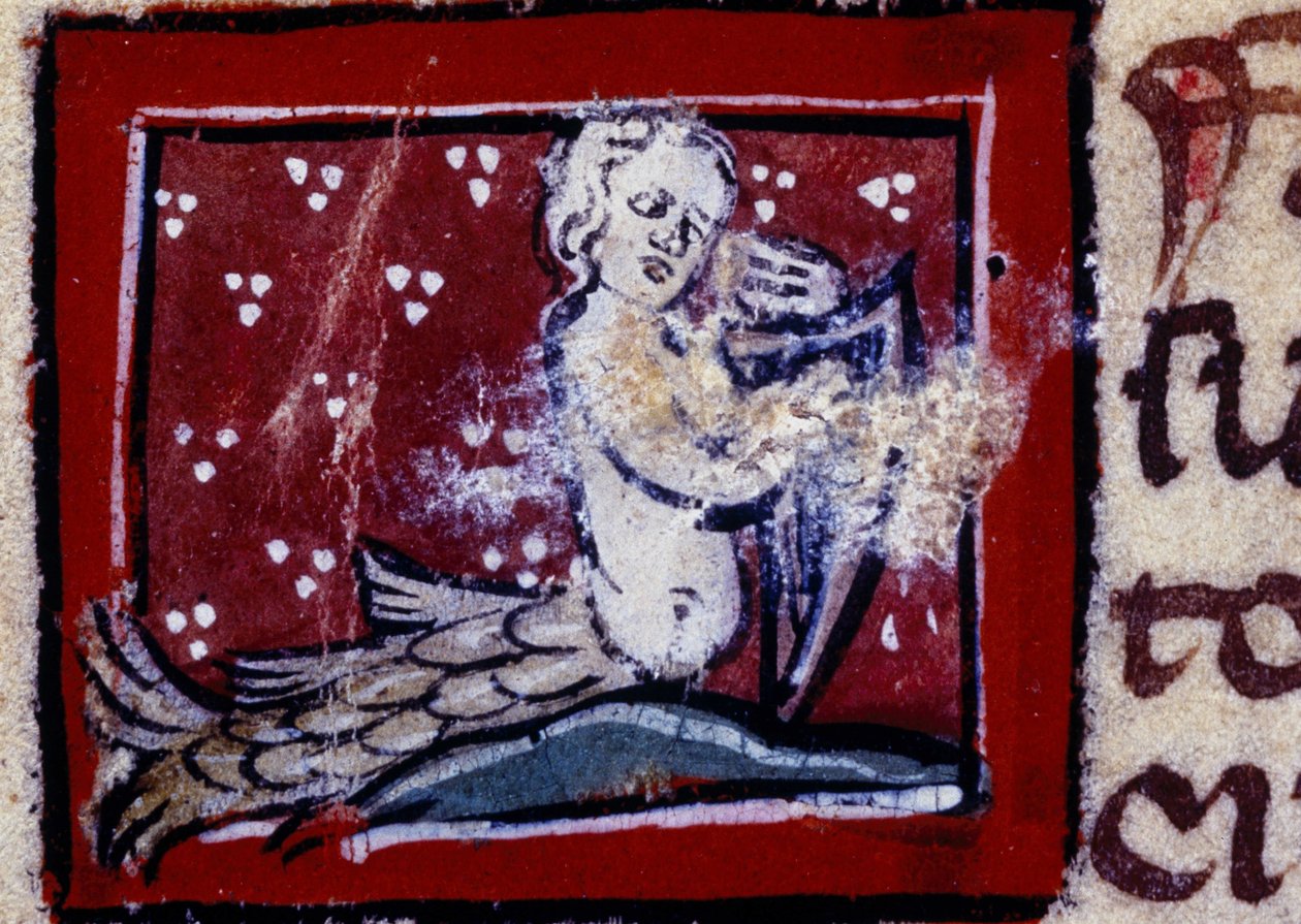 Sireeni - 1300-luvun bestiaari. Milano, Library Trivulziana. tekijältä Unknown artist