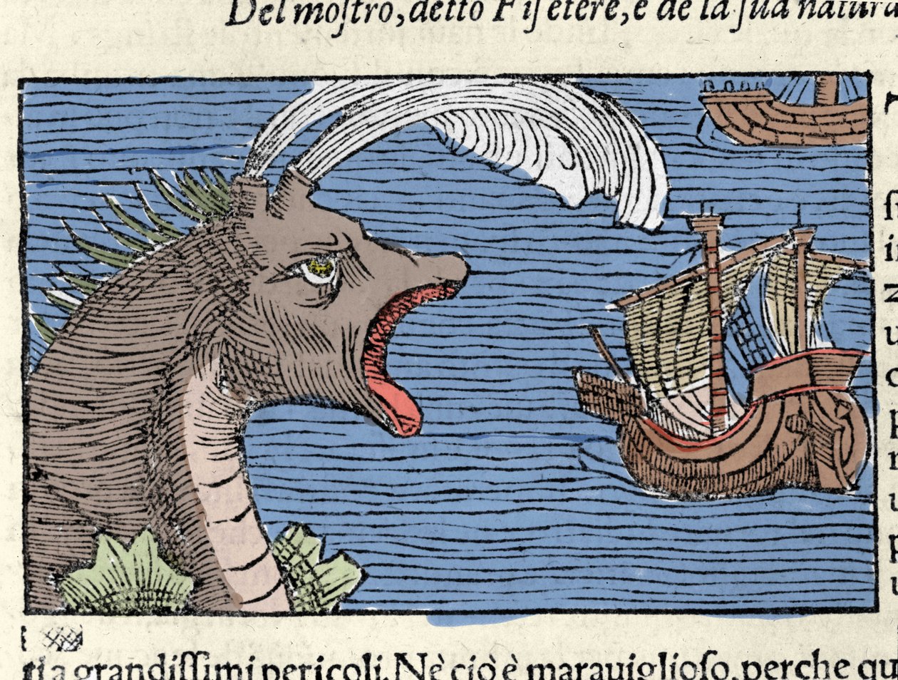 Kaskelotti (?) (fyseteri) hyökkää laivan kimppuun. Kaiverrus Olaus Magnus (1490 - 1557), ruotsalainen uskonnollinen ja maantieteilijä, "History of the Northern Nation", Venetsia tekijältä Unknown artist