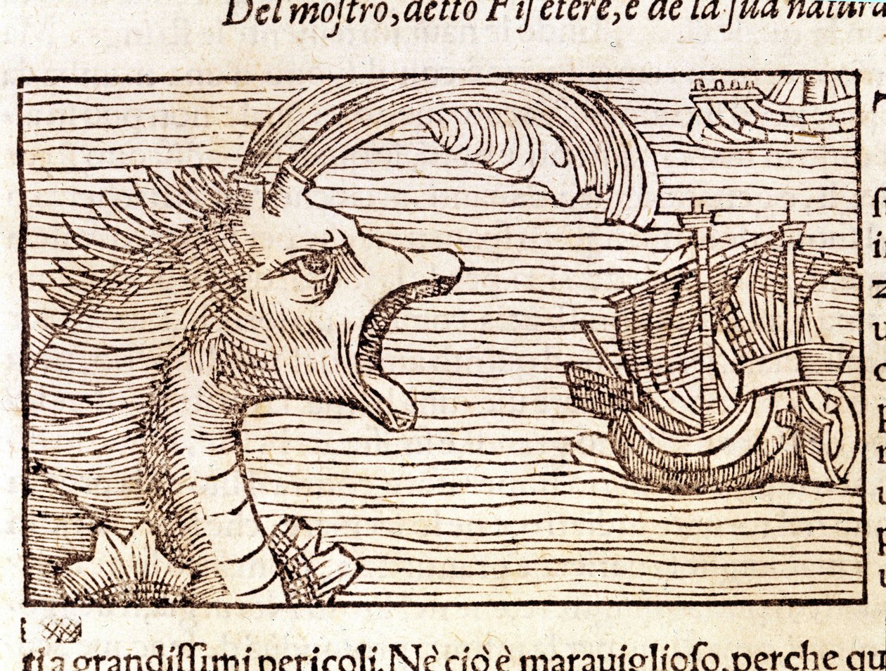 Kaskelotti (?) (fyseteri) hyökkää laivan kimppuun. Kaiverrus Olaus Magnus (1490 - 1557), ruotsalainen uskonnollinen ja maantieteilijä, "History of the Northern Nation", Venetsia tekijältä Unknown artist