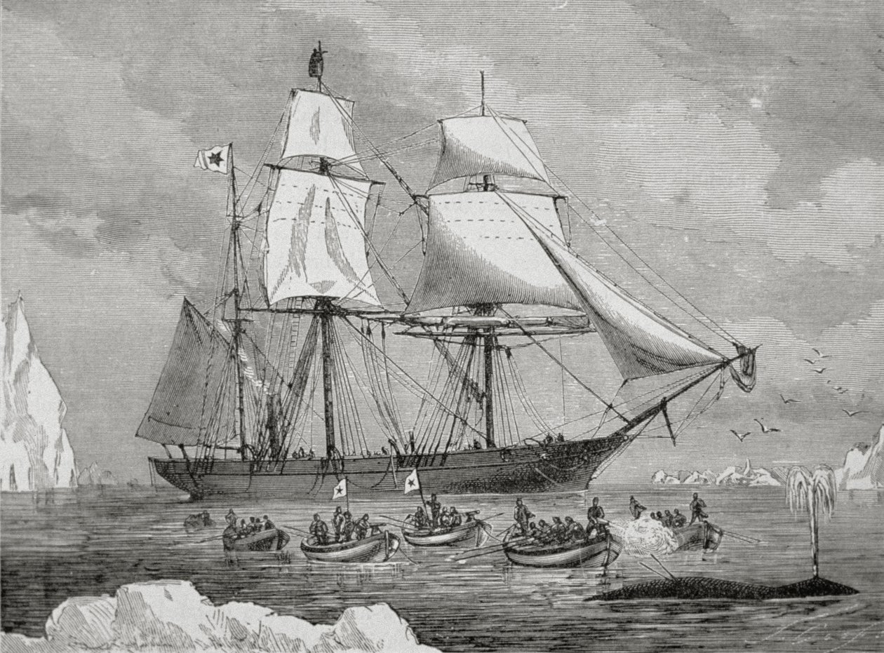 Valaanpyytäjä veneellä nopeasti "kalalle" (aseharppuunalla) tekijältä Unknown artist