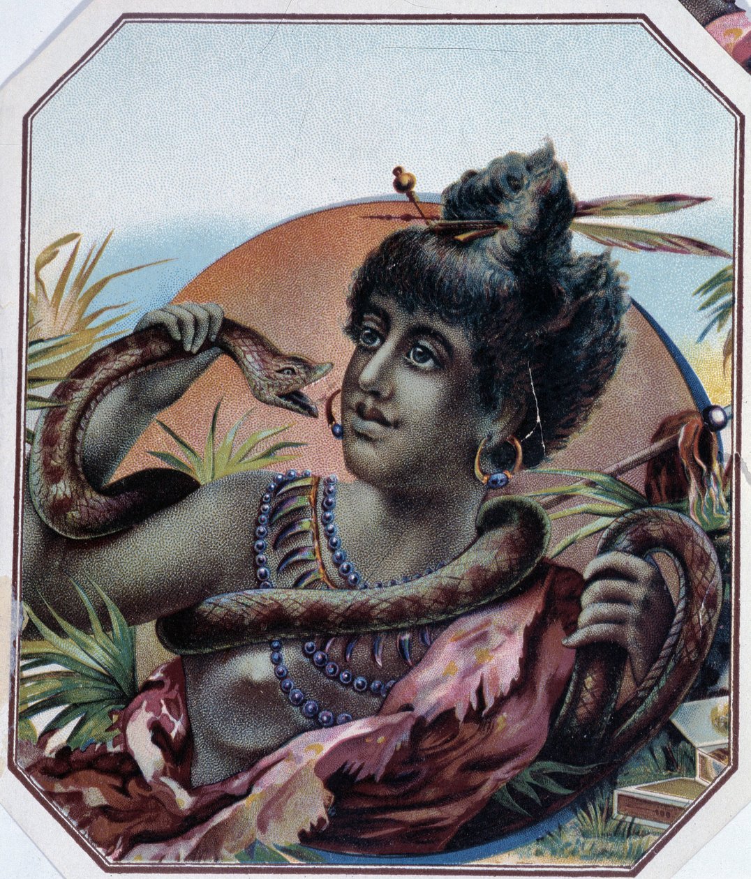 Afrikkalainen musta nainen ja käärme - sikarilaatikon etiketti, 1800-luvun loppu tekijältä Unknown artist
