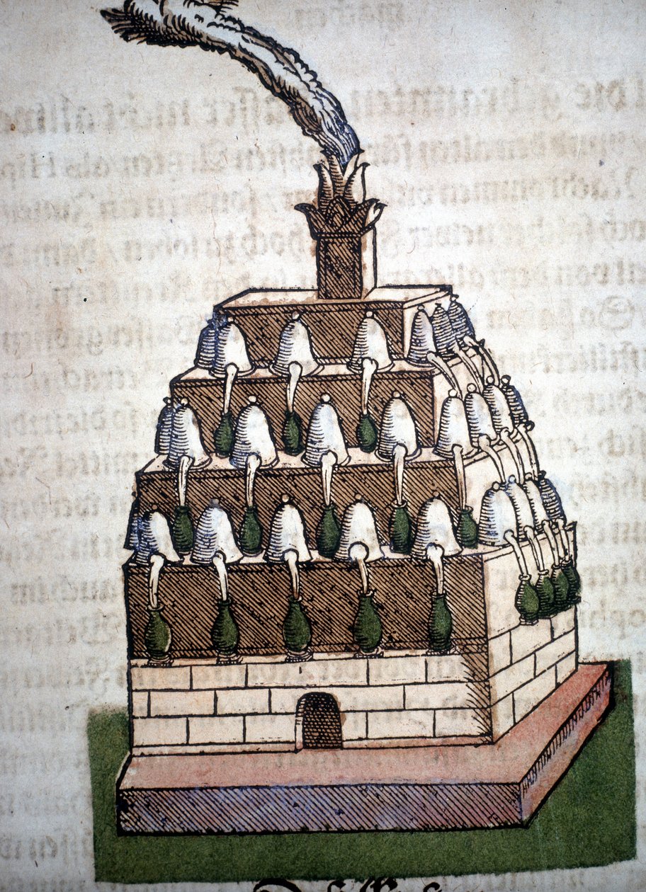 Alkemia: Athanor Four Pietro Andrea Mattiolin (Matthiole) (1500-1577) kirjasta. Frankfurt tekijältä Unknown artist