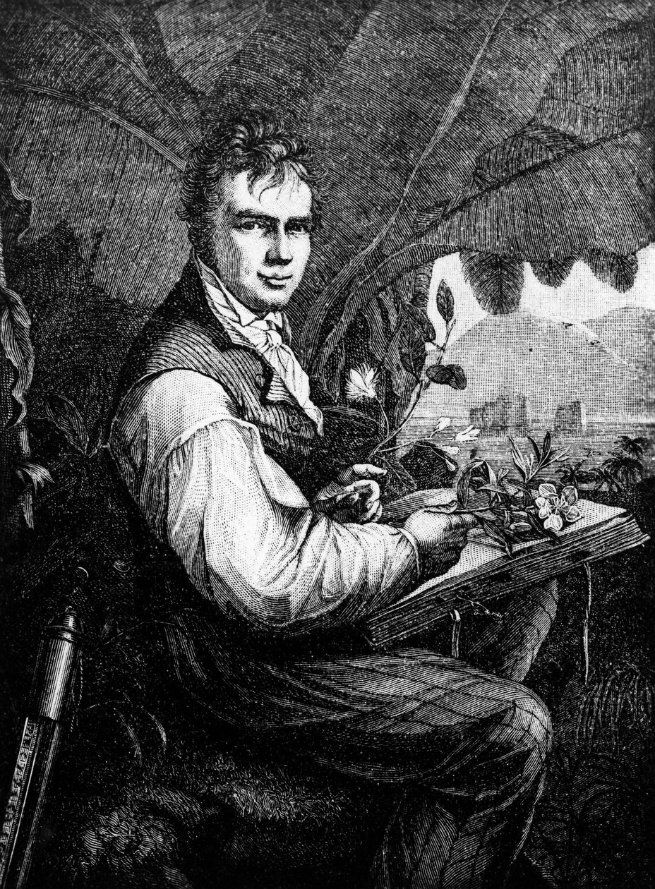 Alexander Von Humboldt (Alexander de Humboldt tekijältä Unknown artist