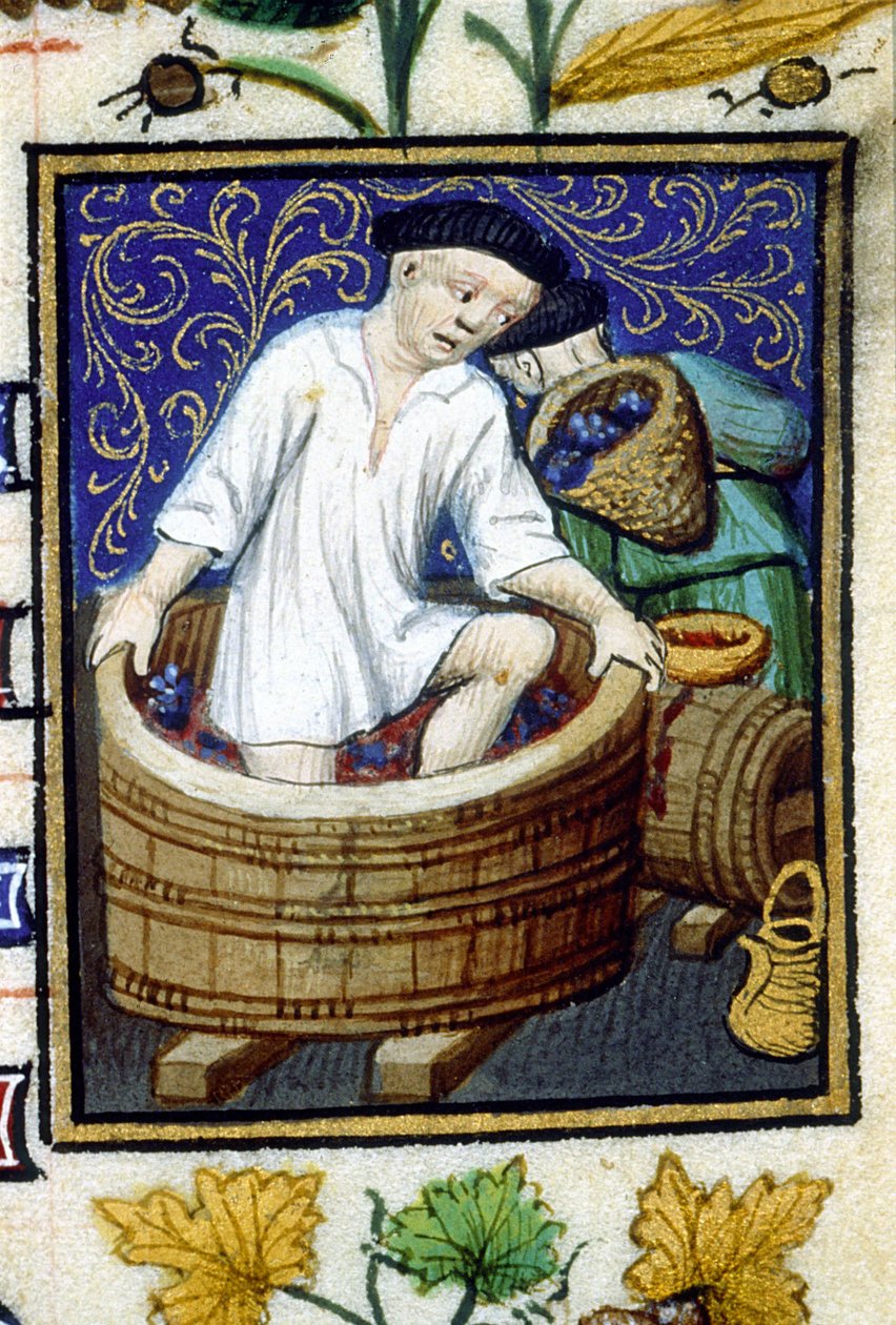 Syyskuun allegorinen esitys. Sadonkorjuu, rypäleiden poisto. Miniatyyri 1300-luvun käsikirjoituksesta. tekijältä Unknown artist