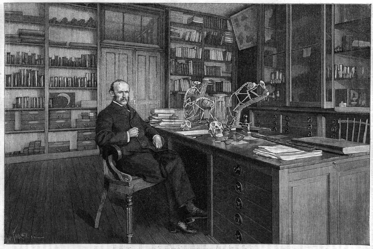 Alphonse Milne Edwards (Milne-Edwards tekijältä Unknown artist