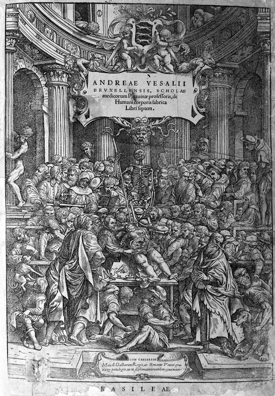 Anatominen huone. Hollannin anatomin André Vesaliuksen (1514-1564) (latinaksi Andrea Vesalius, hollanniksi Andries Van Wesel) teoksen "Human corporis fabricated release in September 1543" etukappale. tekijältä Unknown artist