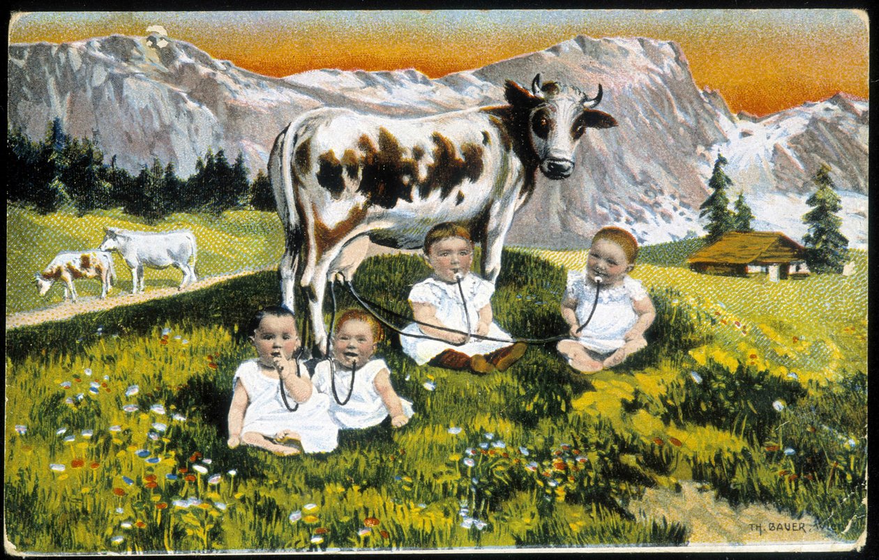 Vauvat itsepäiset lehmän piiput - Postikortti, 1800-luvun loppu tekijältä Unknown artist