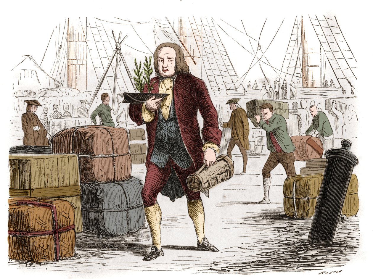 Bernard de Jussieu (1699-1777), ranskalainen kasvitieteilijä, joka toi kaksi setriä Libanonista Englannista vuonna 1734. Kaiverrus vuodelta 1861. tekijältä Unknown artist