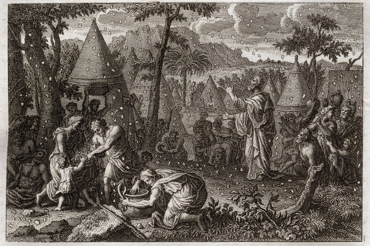 Royaumontin raamattu, Vanha testamentti: Juutalaiset erämaassa (tai mannan kapina). Jumala pudottaa mannaa taivaasta neljäksikymmeneksi vuodeksi. Kuvitus vuodelta 1811. tekijältä Unknown artist