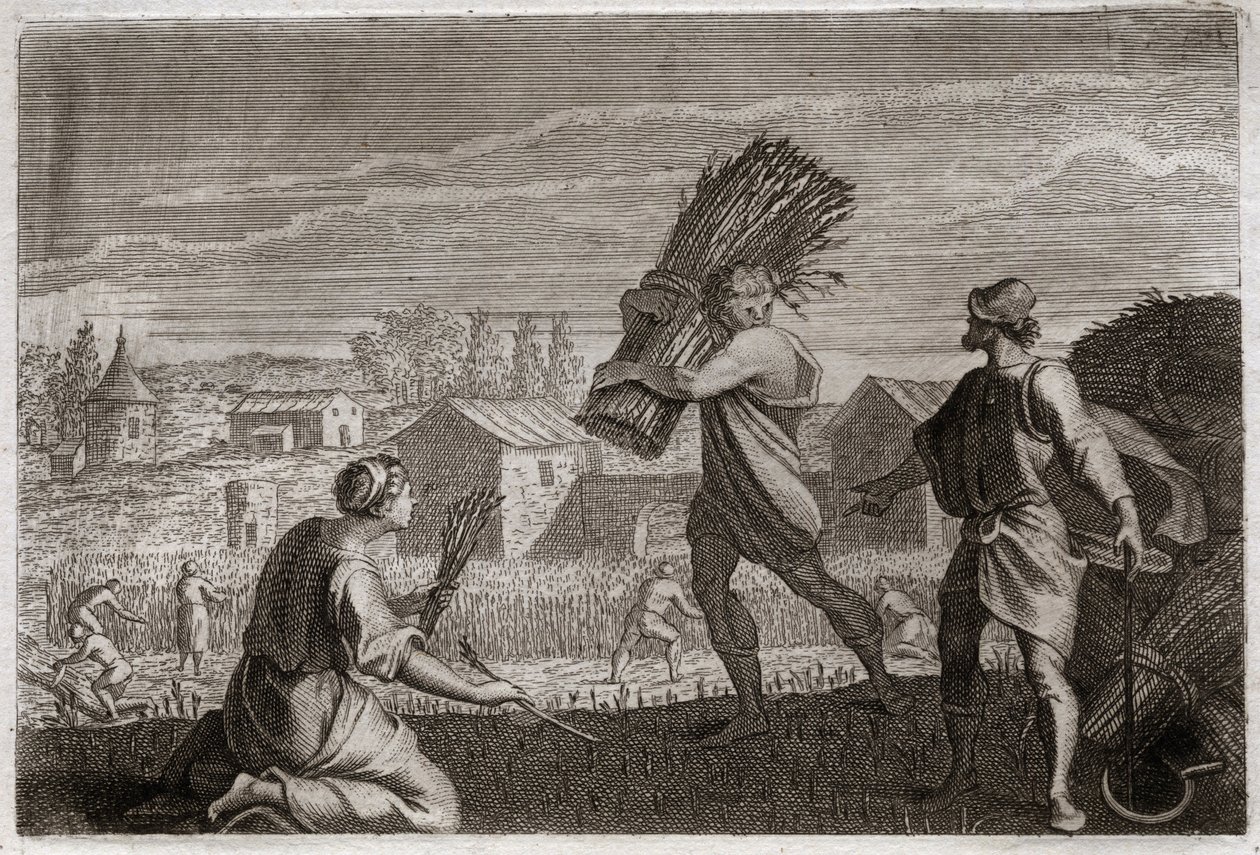 Royaumontin raamattu, Vanha testamentti: Ruth seuraa anoppiaan Noemia (Naomi, Noemie) Juudan maassa ja niittää Boaksen (Boasin) vehnäpellot. Kuvitus vuodelta 1811. tekijältä Unknown artist