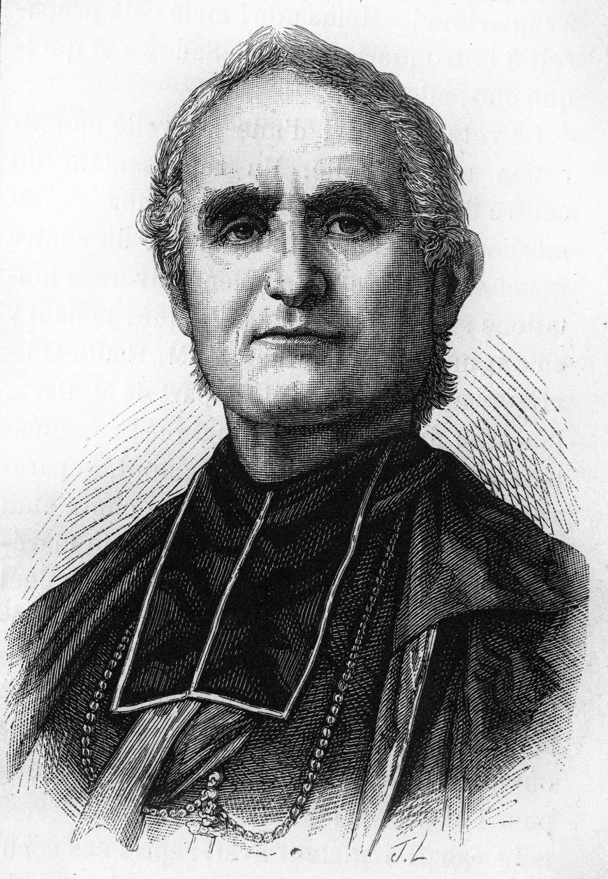 Piispa Félix Dupanloup (1802 - 1878), Ranskan prelaatti, Orléansin piispa tekijältä Unknown artist