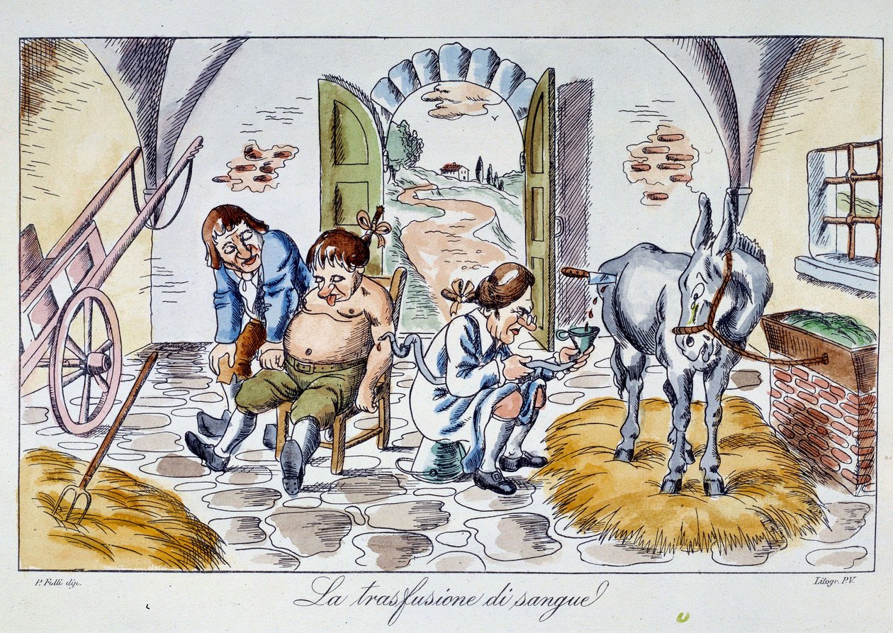 Verensiirto Lääkäri ruiskuttaa hevosen verta potilaaseen. Sarjakuva 1800-luvun yksityiskokoelmasta tekijältä Unknown artist
