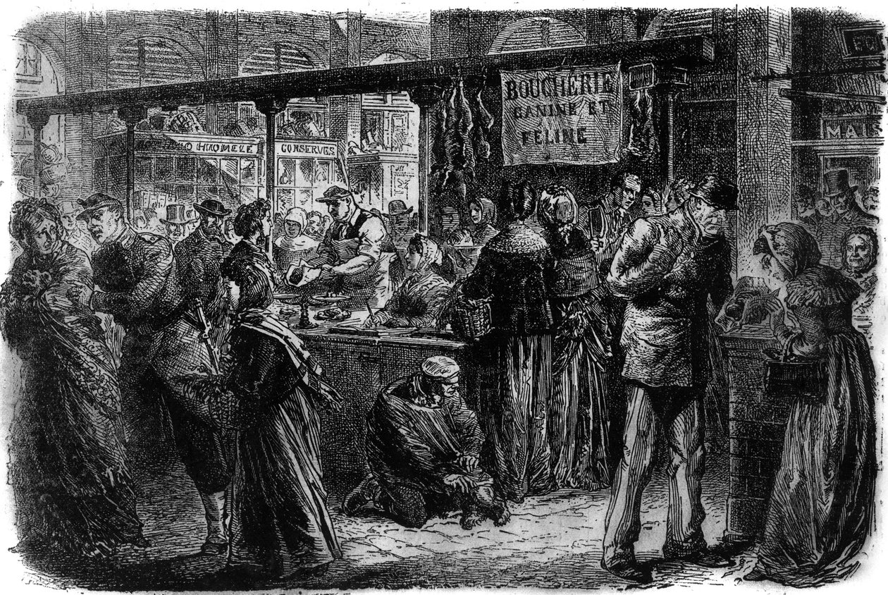 Teurastamo koira ja kissa Pariisissa vuonna 1870 tekijältä Unknown artist