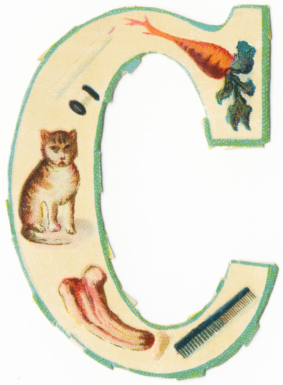 C: koralli, porkkana, kynttilä, puuvilla, kissa, kolosyntti, kampa (väri litho) tekijältä Unknown artist