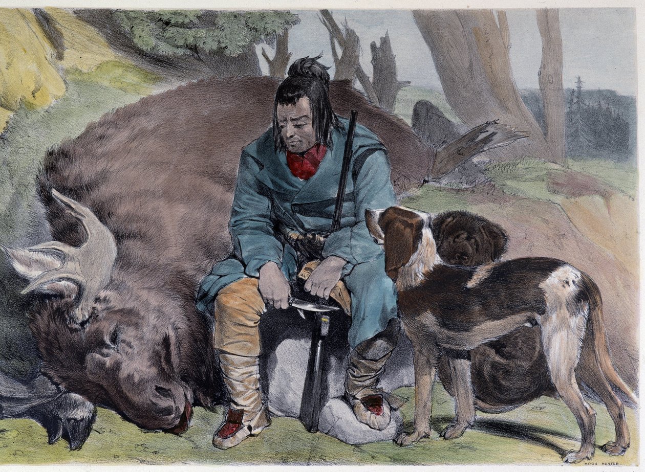 Kanadalainen Huron Elk Hunt - elokuvassa "" Shyth