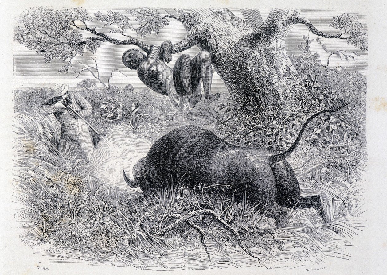 Kapteeni Speke metsästää puhveleita "" Tour du Mondessa"" tekijältä Unknown artist