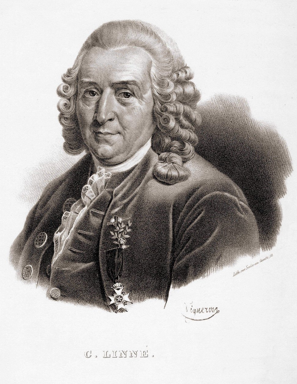 Carl Von Linné ruotsalainen luonnontieteilijä ja kirjailija (1707 - 1778). tekijältä Unknown artist