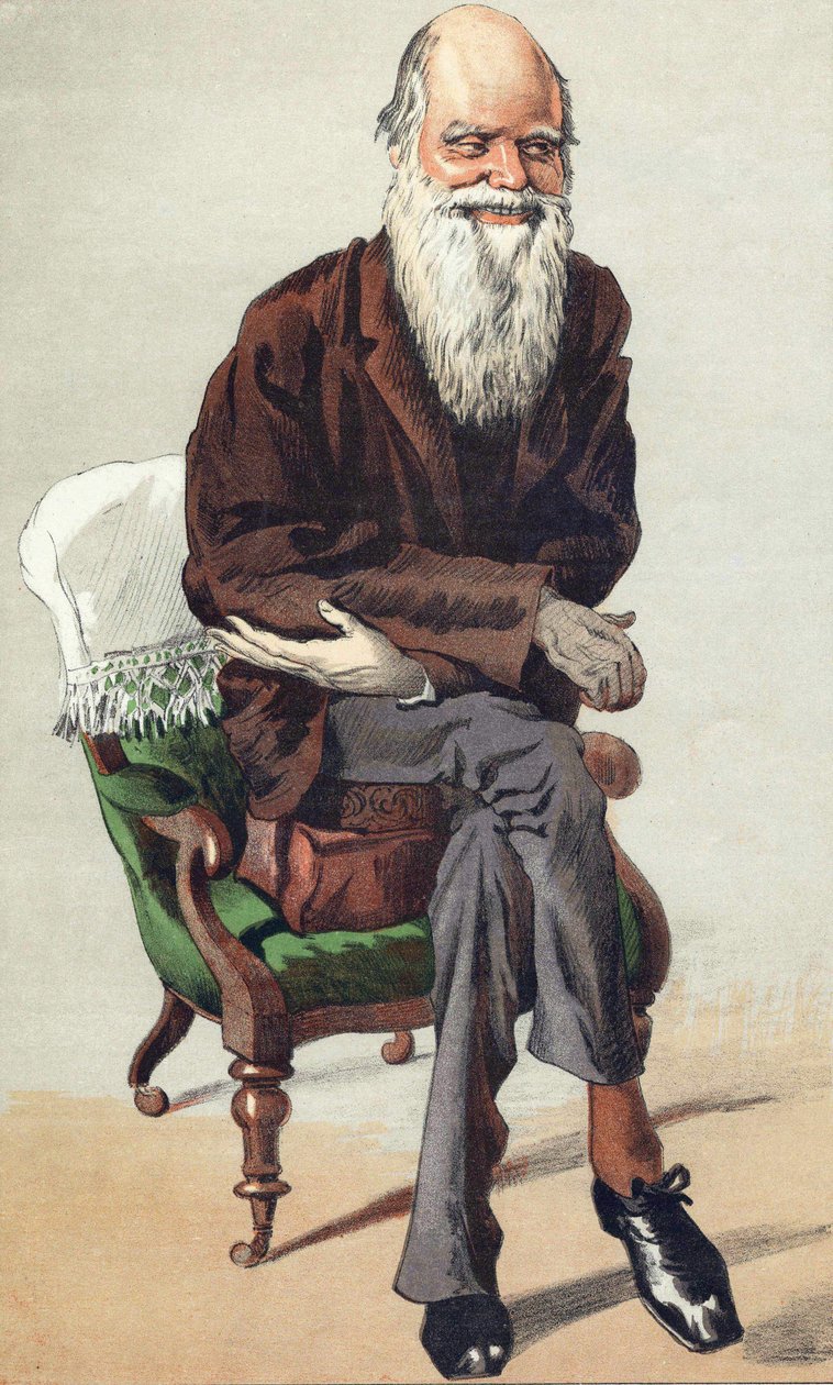Charles Darwin (1809 - 1882), kuvitus "Vanity Fair" -tapahtumassa 30. syyskuuta tekijältä Unknown artist