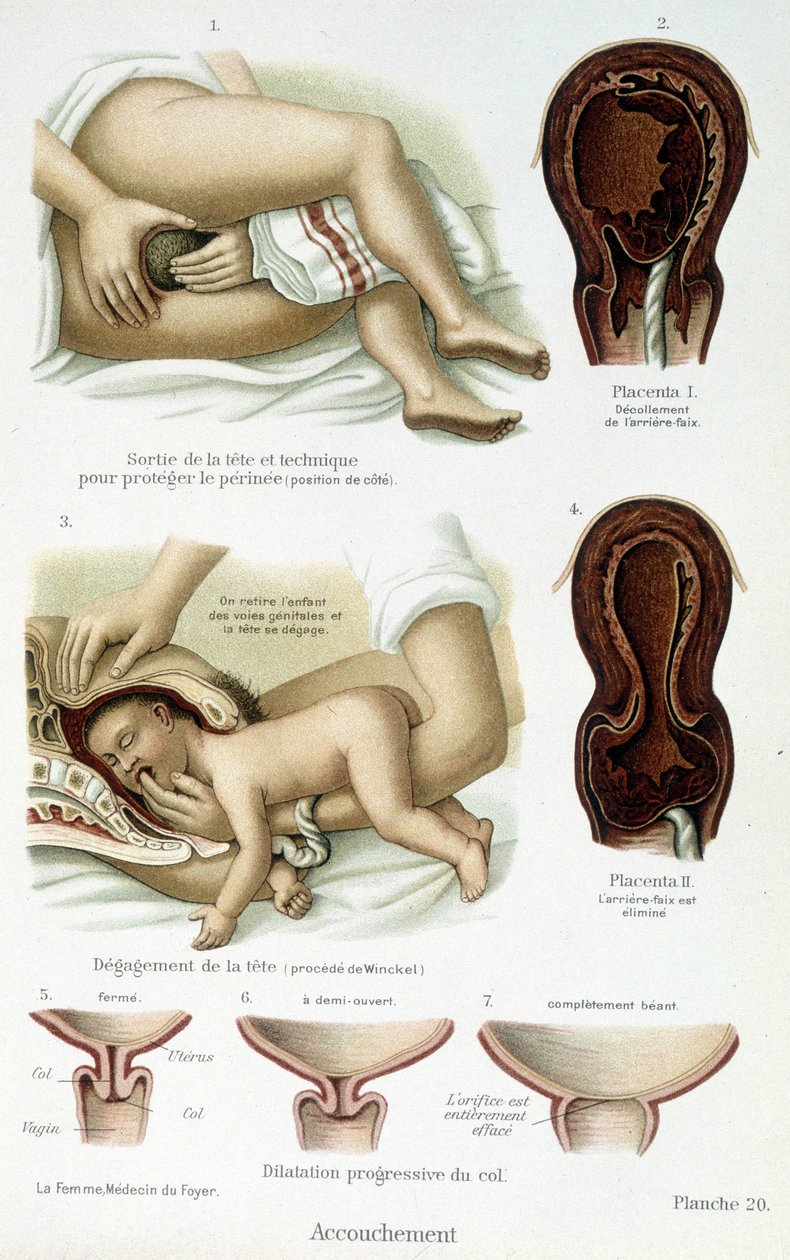 Synnytys - tiedelautakunta, 1800-luvun loppu tekijältä Unknown artist