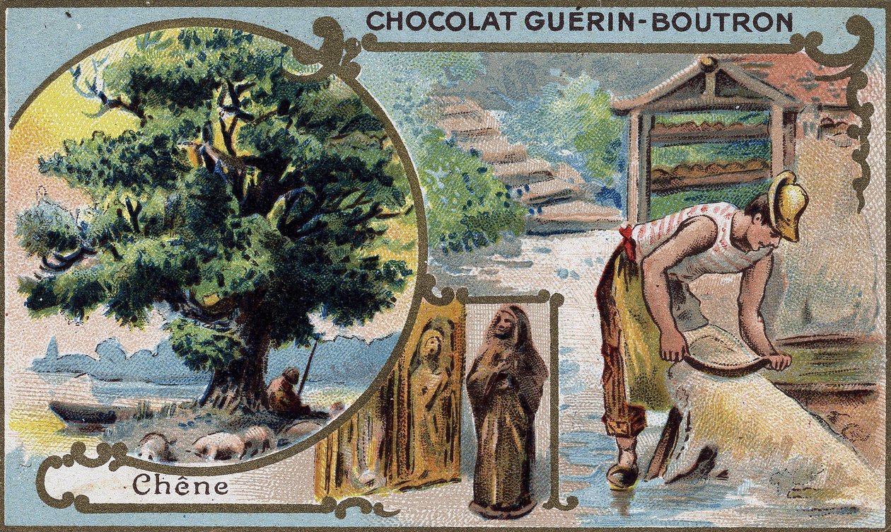 Suklaan kromolitografiapakkaus Guérin Boutron.1800-luku. tekijältä Unknown artist