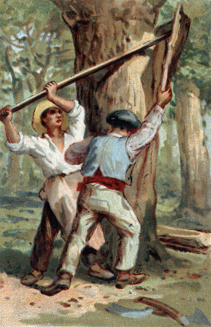 1800-luvun lopun kromolitografia. tekijältä Unknown artist