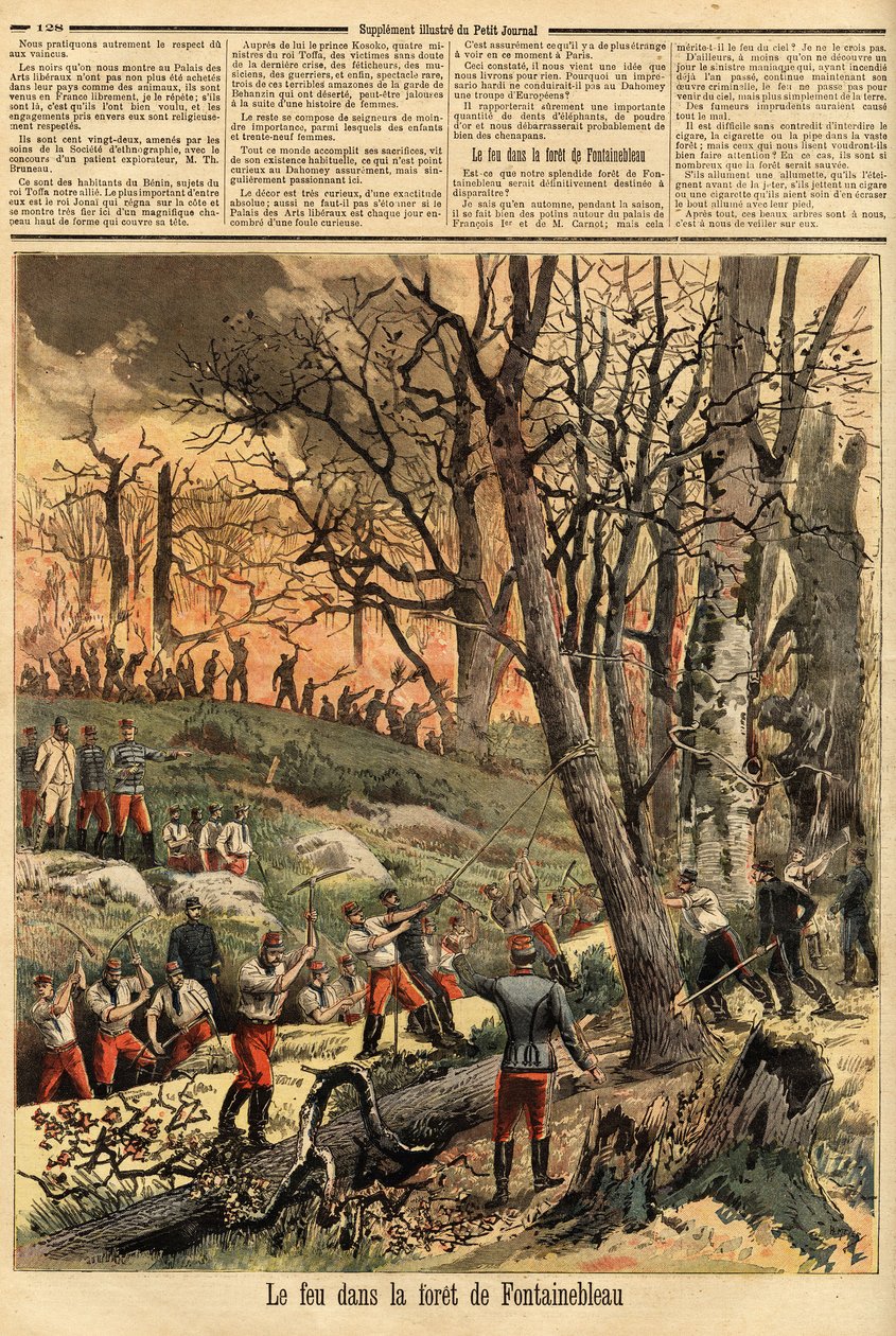 Rikollinen tulipalo Fontainebleaun metsässä. Kaiverrus "" Le petit Journal" -lehdessä 22/04/1893. Selvan kokoelma. tekijältä Unknown artist