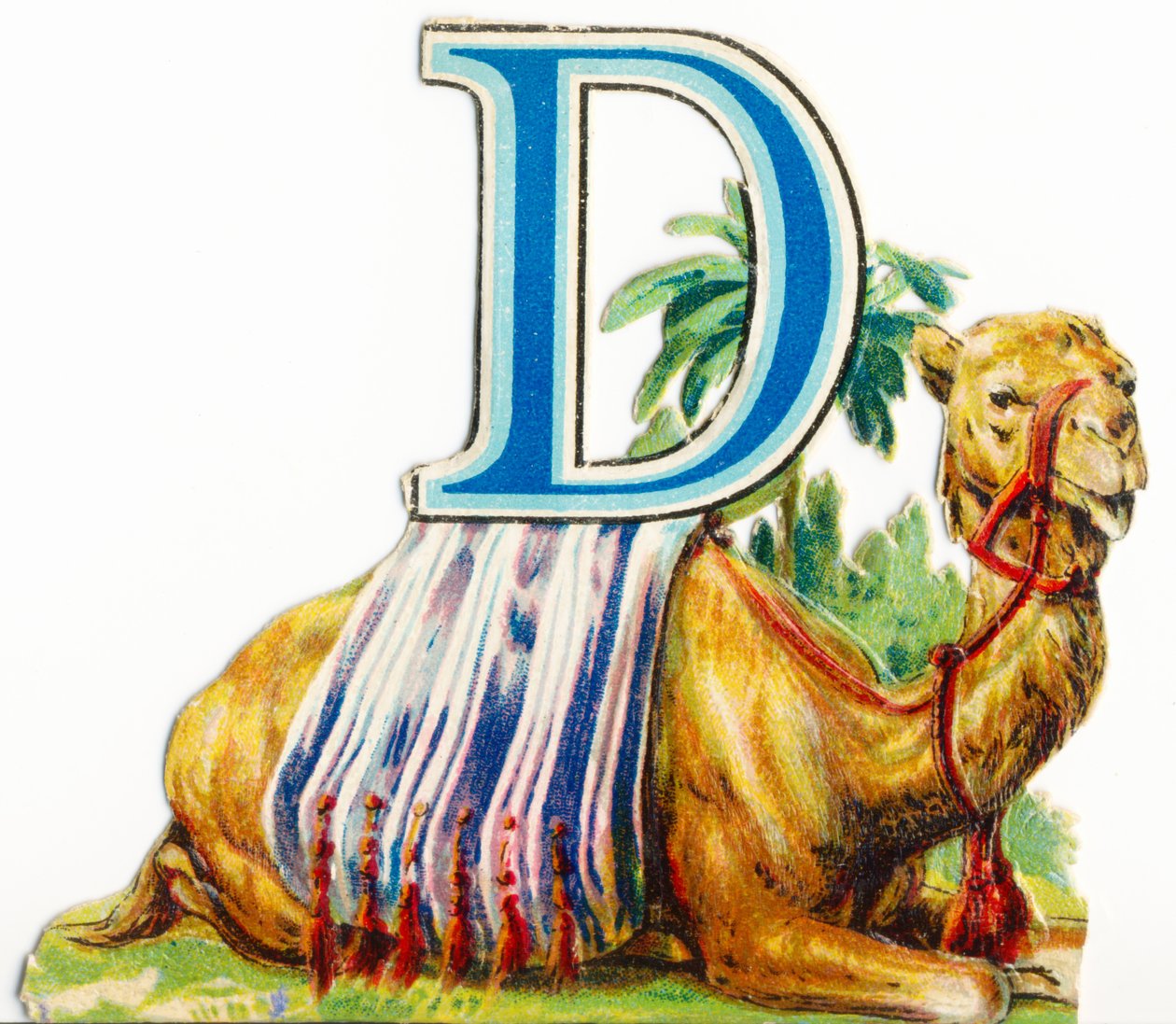 D: Dromedaari tekijältä Unknown artist