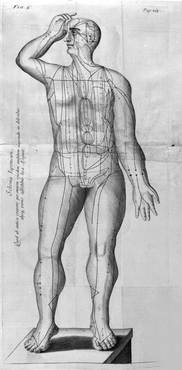 De Acupunctura, kirjoittanut W.Ten Rhijn. Lontoo 1683. Ensimmäinen akupunktiota käsittelevä länsimainen teksti. tekijältä Unknown artist
