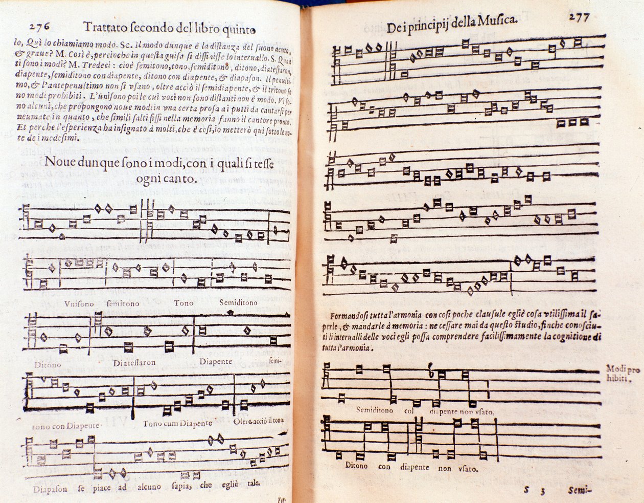 Kaksoissivu Gregor Reischin teoksesta The Philosophical Daisy (1600) tekijältä Unknown artist