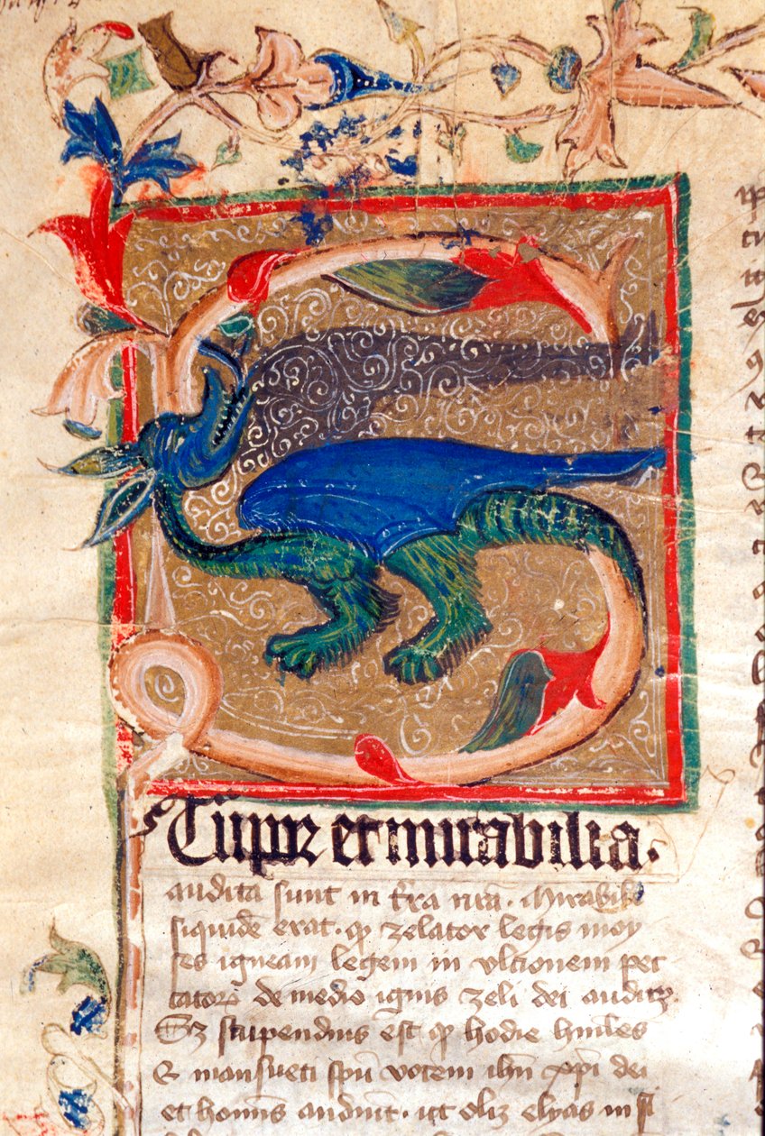 Dragon Decoree Lettrine Yksityiskohta 1300-luvun käsikirjoituksesta tekijältä Unknown artist