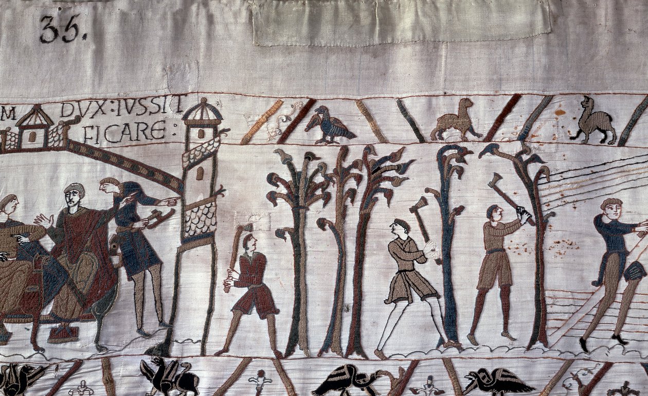 Duke Guillaume määräsi laivojen rakentamisen, puita kaadettiin - Bayeux