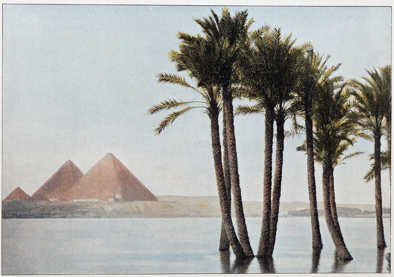 Egypti: Niilin tulva ja Gizan pyramidit (Gizeh, Gizeh, Giza). tekijältä Unknown artist