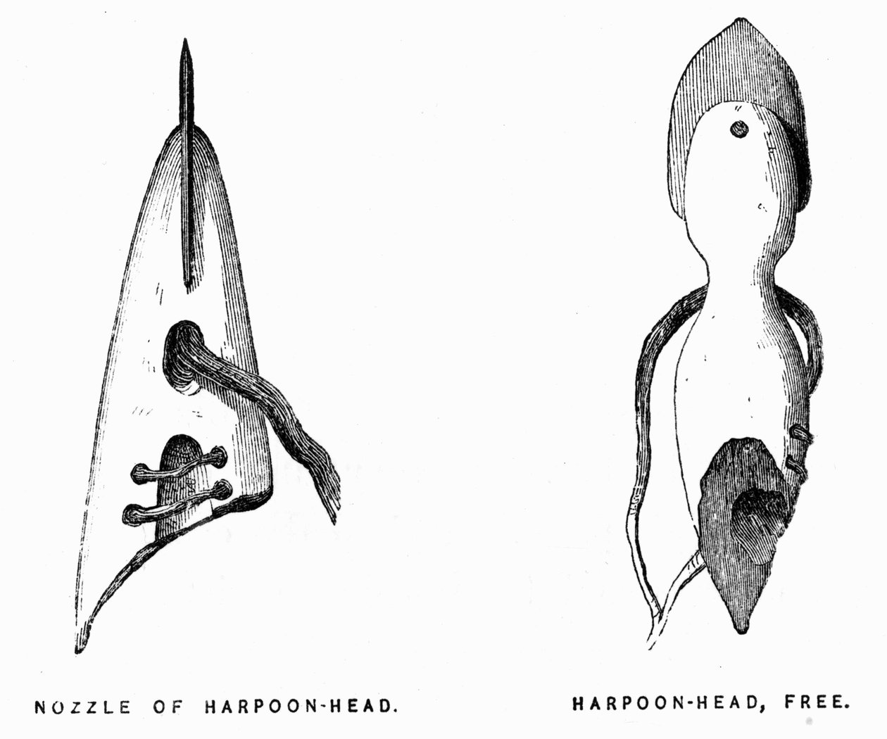 Eskimo Harpoons - Elisha Kent Kane, Artic Exploration vuosina 1853-1855, Philadelphia, Childs ja Peterson tekijältä Unknown artist