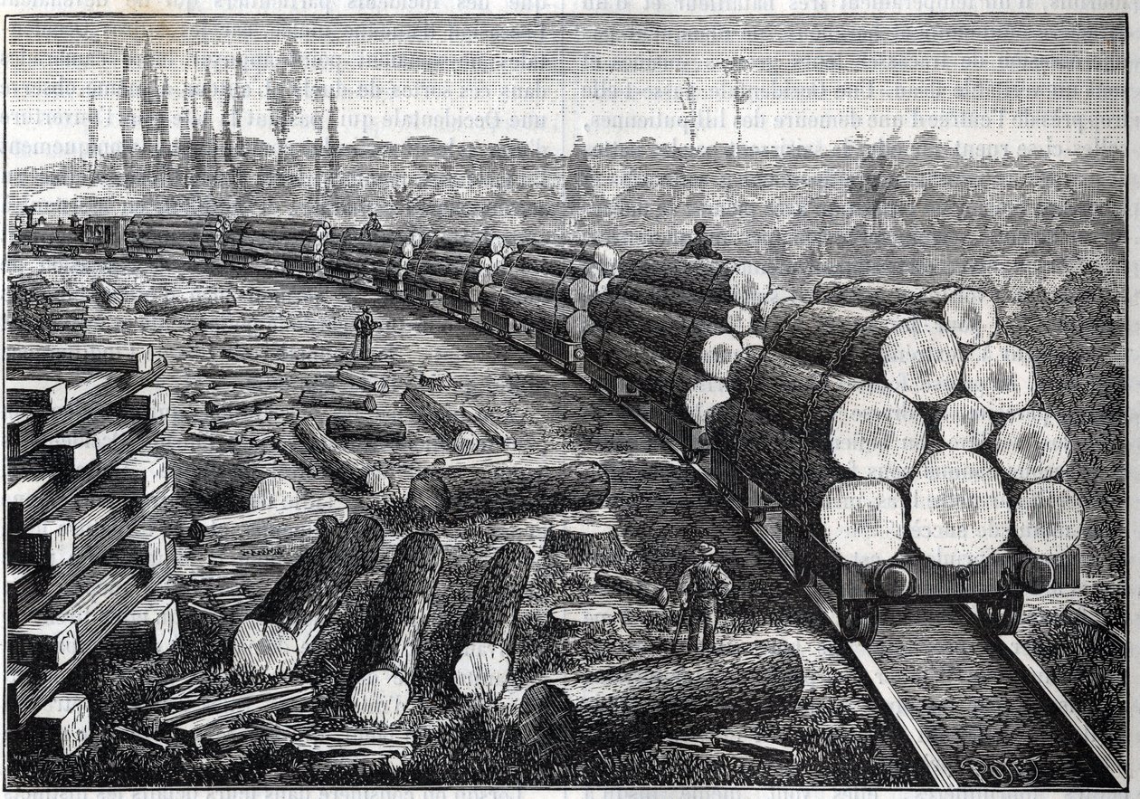 Yhdysvaltain metsien hyödyntäminen. Väliaikaiset rautatiet puuraiteella. Puunrunkoja kuljettavat vaunut. Kaiverrus "" La Nature"" tekijältä Unknown artist