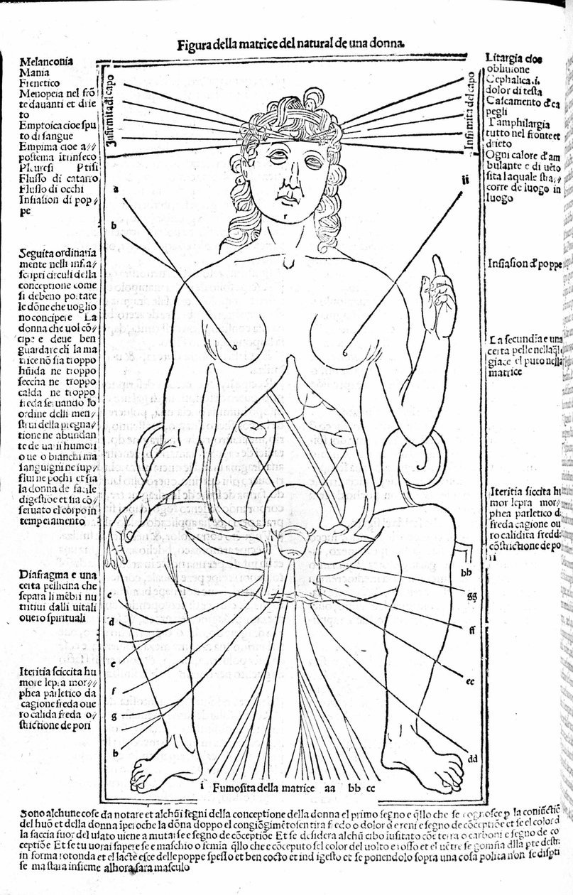 Naisten lisääntymislaitteisto - Gerolamo Cardanon (Cardano) (Cardanus Hieronymus) lääketieteen tutkielmassa, Firenze 1585. tekijältä Unknown artist
